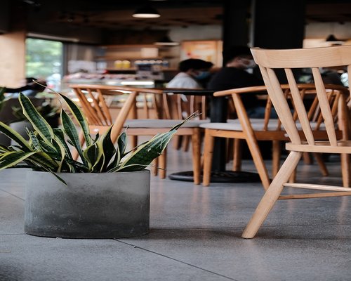 Interior of a local cafe in Guatemala City with natural light